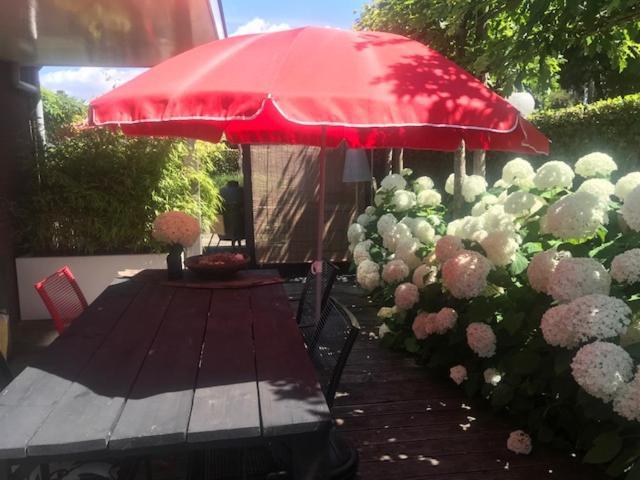 Geranio Bed & Breakfast Made Exterior foto